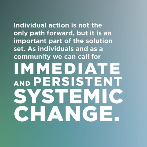 An image with a light green background reads: Individual action is not the only path forward, but it is an important part of the solution set. As individuals and as a community we can call for IMMEDIATE and PERSISTENT SYSTEMIC CHANGE. 